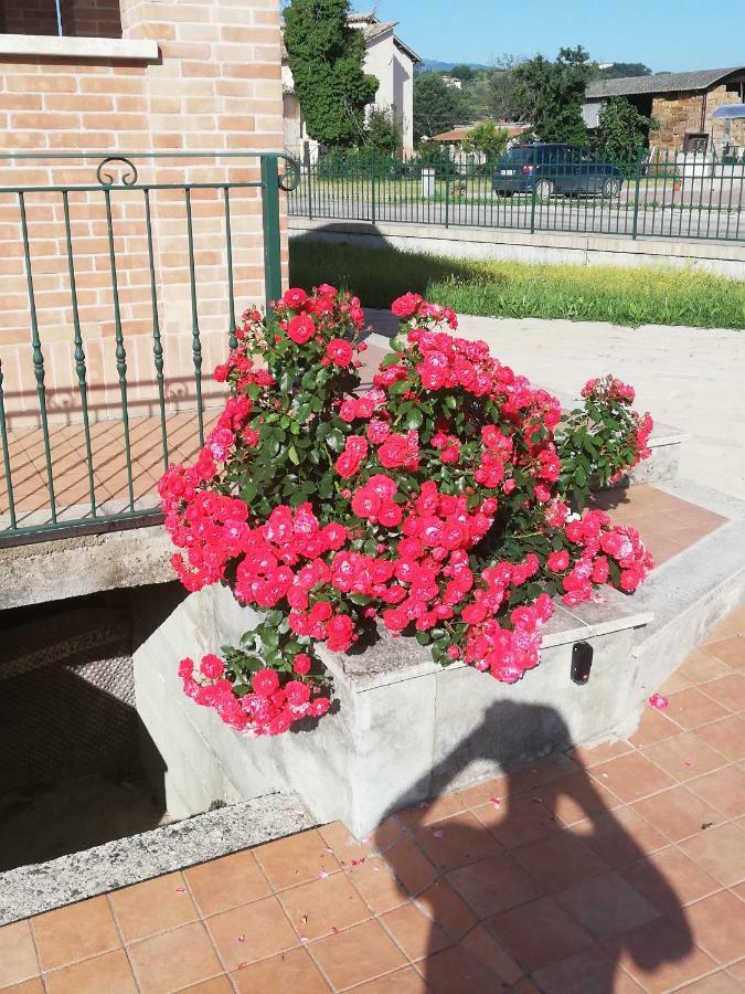Il Rifugio Della Luna Holiday home